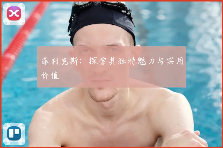 菲利克斯：探索其独特魅力与实用价值
