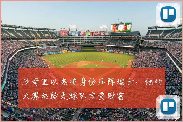 沙奇里以老将身份压阵瑞士，他的大赛经验是球队宝贵财富