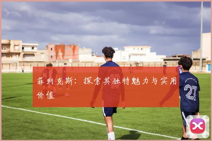 菲利克斯:探索其独特魅力与实用价值